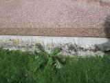 image of grave number 665544